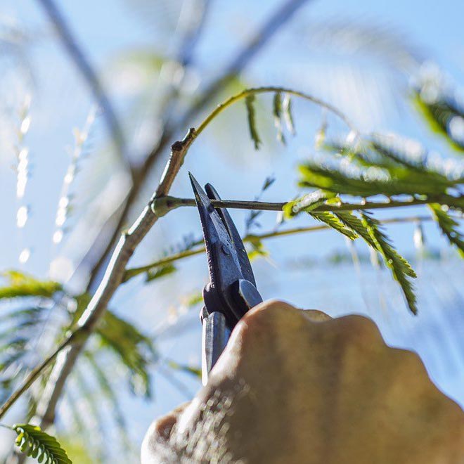 garden-maintenance-home-tile-sm